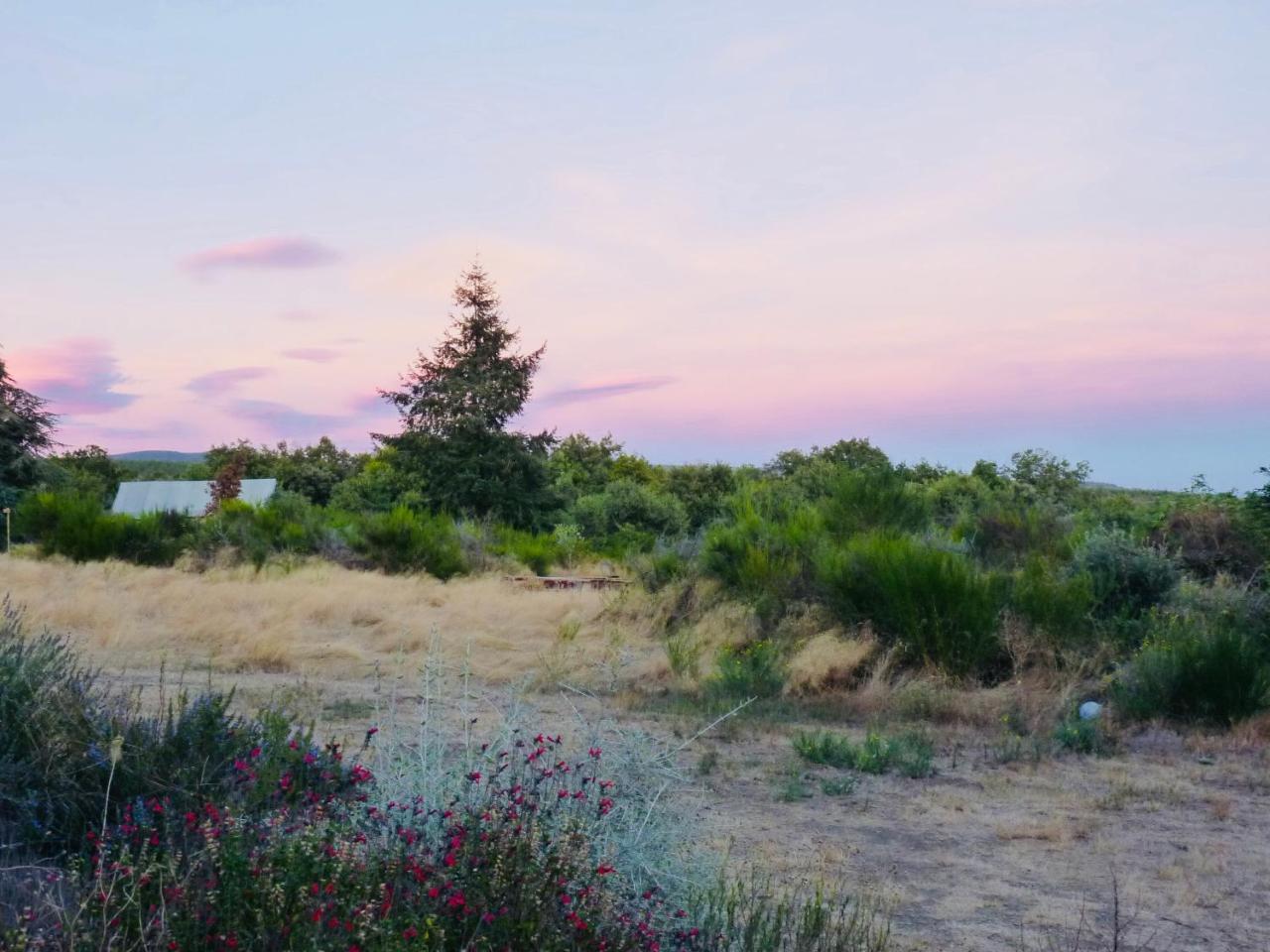 Domaine De La Vitarelle Glamping Villaniere Exterior foto